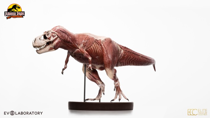 侏罗纪公园 1:12 比例解剖图霸王龙