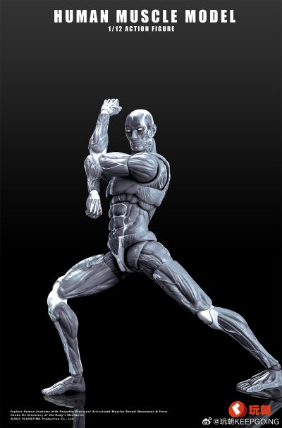 《Human Muscle Model》1:12超可动人偶 灰色