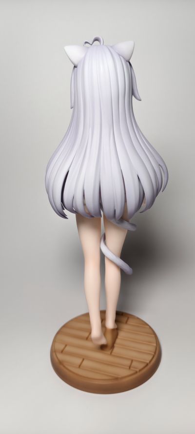 家有猫猫  糯米米&手感漆