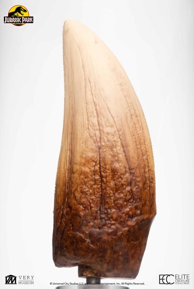 侏罗纪公园霸王龙牙齿复制品