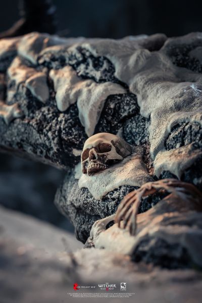 巫师3: 荒野 杰洛特 VS 艾瑞汀