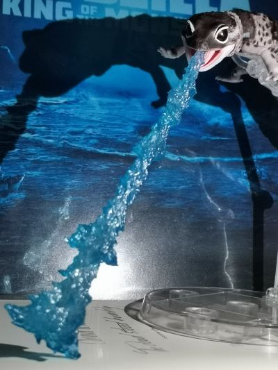 进化生物大图鉴 肥尾壁虎