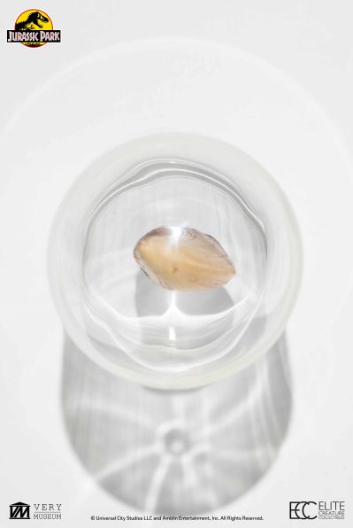 侏罗纪公园霸王龙牙齿复制品