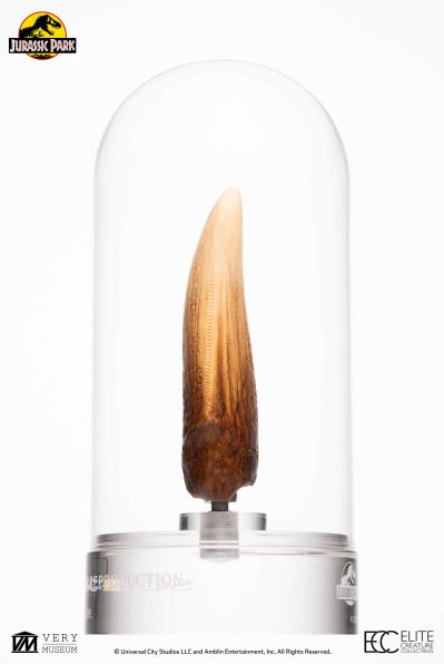 侏罗纪公园霸王龙牙齿复制品