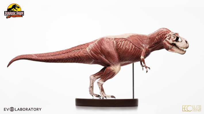 侏罗纪公园 1:12 比例解剖图霸王龙