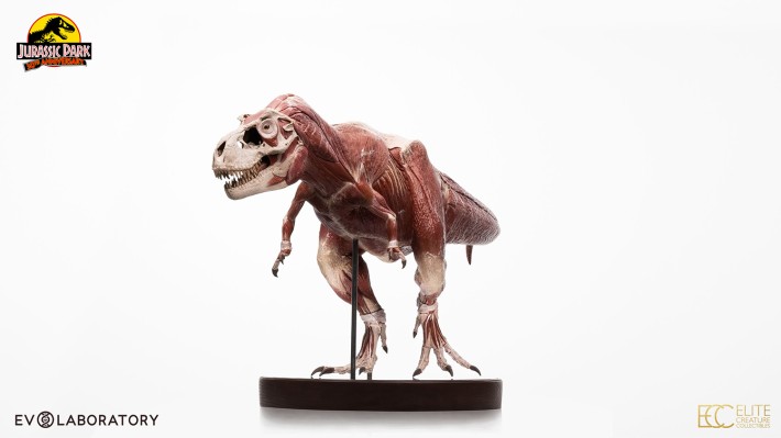 侏罗纪公园 1:12 比例解剖图霸王龙