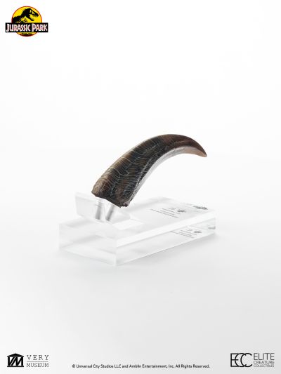 迅猛龙手爪模型复制品