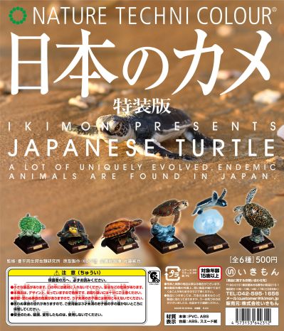 NTC 日本海龟 特装版