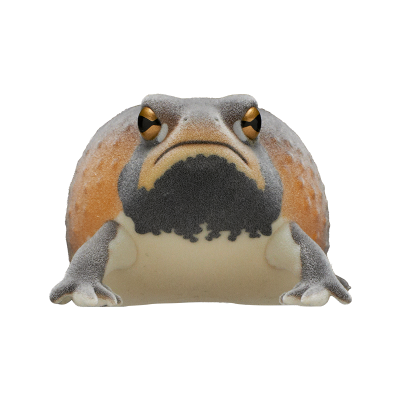 自然多彩 FLOCKY 浑身泥土的鼓腹蛙