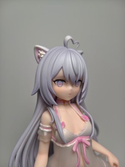 家有猫猫  糯米米&手感漆