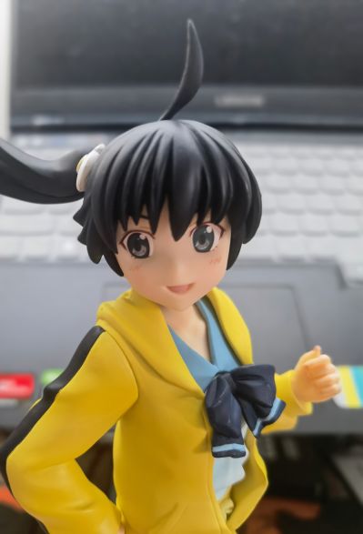 一番赏 伪物语 阿良々木 火怜&阿良々木 月火