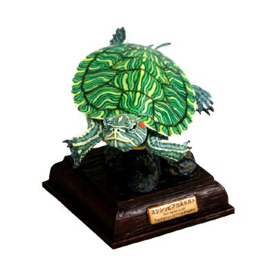 NTC 日本海龟 特装版