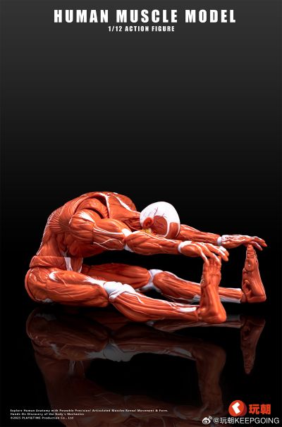 《Human Muscle Model》1:12超可动人偶 红色