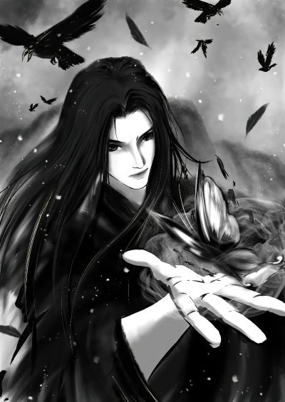 进化生物大图鉴 燕尾蝶 展示架套装