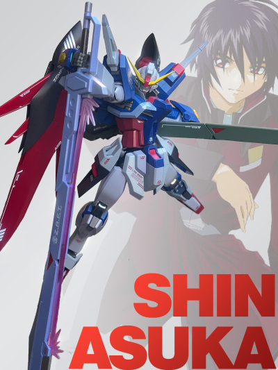 METAL ROBOT魂 ＜机动战士系列＞ 命运高达 [Re:Coordinate]