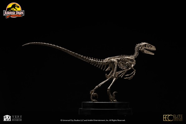 侏罗纪公园 1：8 比例迅猛龙骨架青铜制品