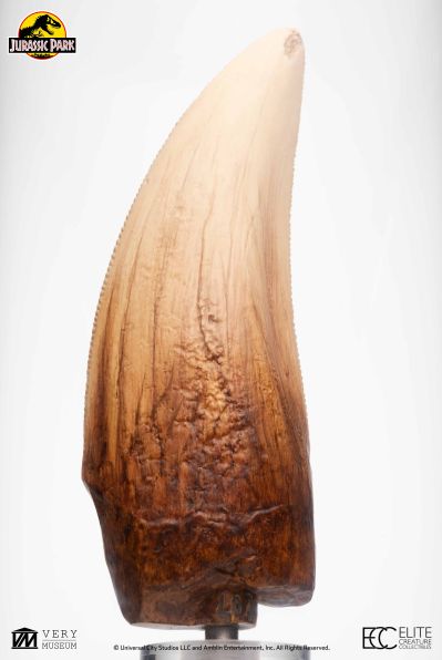 侏罗纪公园霸王龙牙齿复制品