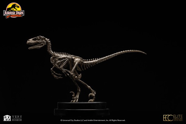 侏罗纪公园 1：8 比例迅猛龙骨架青铜制品