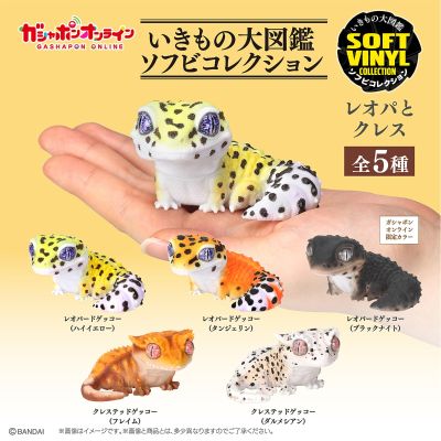 生物大图鉴 软胶收藏系列 豹纹守宫与睫角守宫