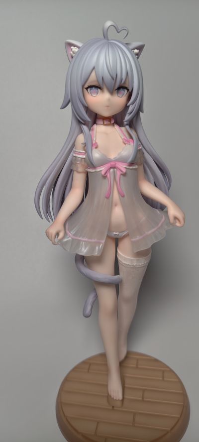 家有猫猫  糯米米&手感漆