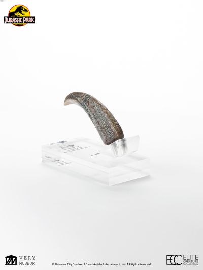 迅猛龙手爪模型复制品