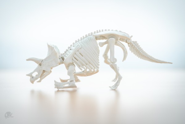 恐龙拼装模型 三角龙