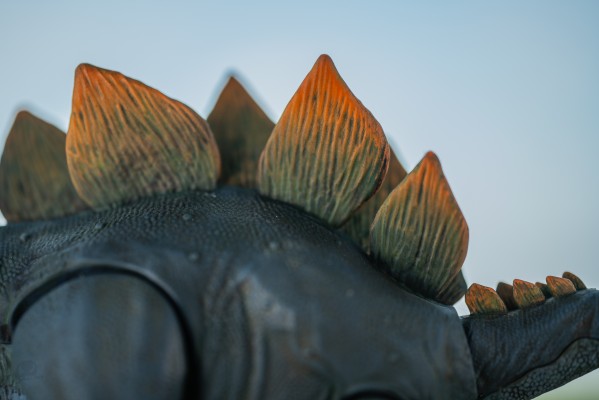 恐龙拼装模型 剑龙