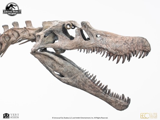 侏罗纪公园 3 青铜棘龙骨架 1/12 比例模型