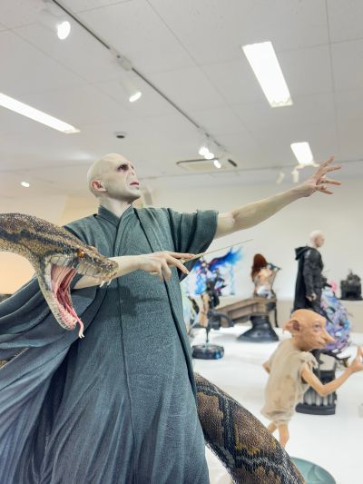 哈利·波特 伏地魔