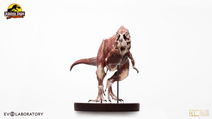 侏罗纪公园 1:12 比例解剖图霸王龙