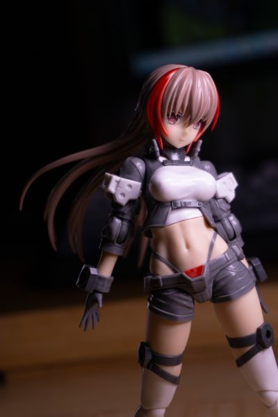 机甲少女 驱狼九式