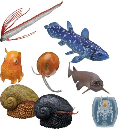 NTC MONO+深海生物磁铁与球链