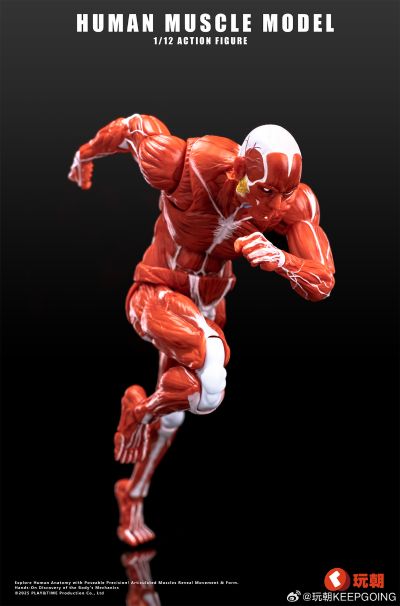 《Human Muscle Model》1:12超可动人偶 红色