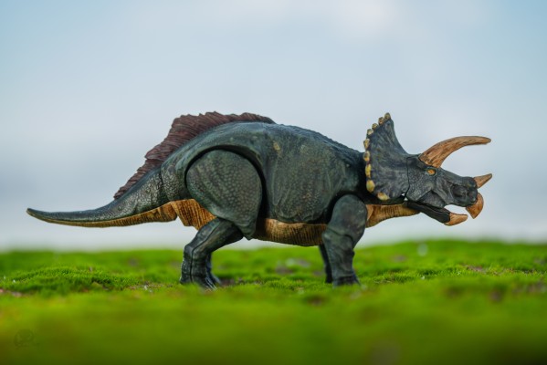 恐龙拼装模型 三角龙