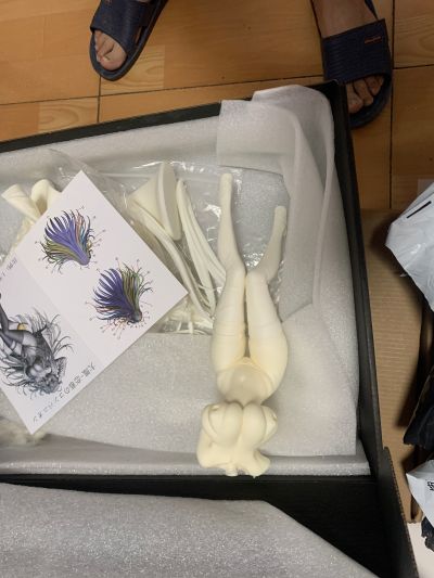 碧蓝航线 大凤 恋慕伴侣