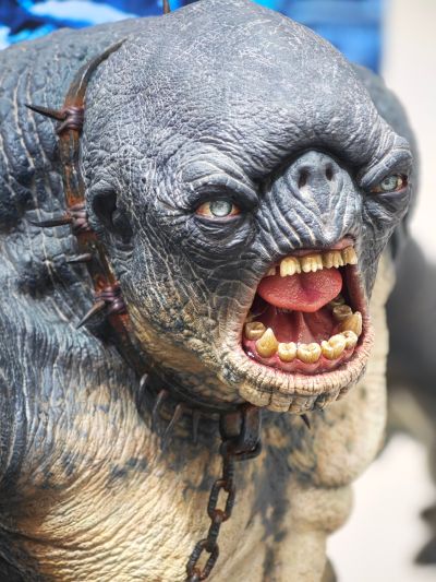 指环王 洞穴巨魔