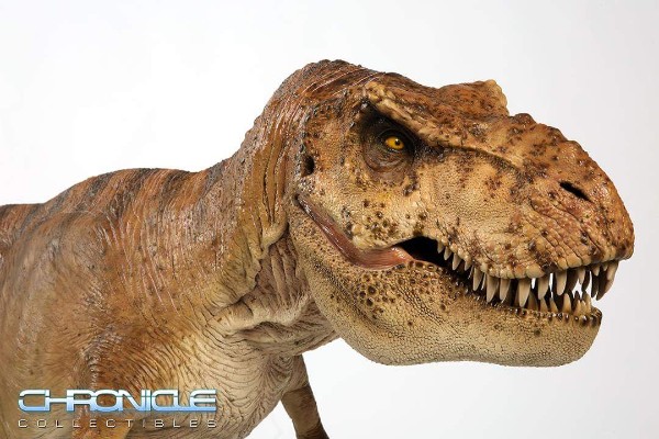 1:5 比例 雌性霸王龙