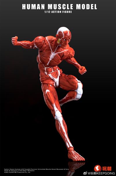 《Human Muscle Model》1:12超可动人偶 红色