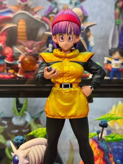 S.H.Figuarts 龙珠Z 布尔玛 -向那美克星进发-