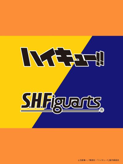 S.H.Figuarts  日向翔阳