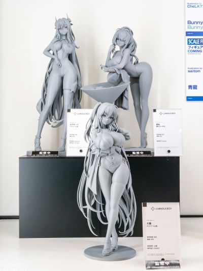 鹩（大凤） 夜间泳池（暫称）