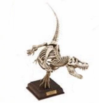 自然科技色彩 古生物