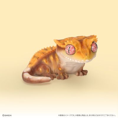 生物大图鉴 软胶收藏系列 豹纹守宫与睫角守宫