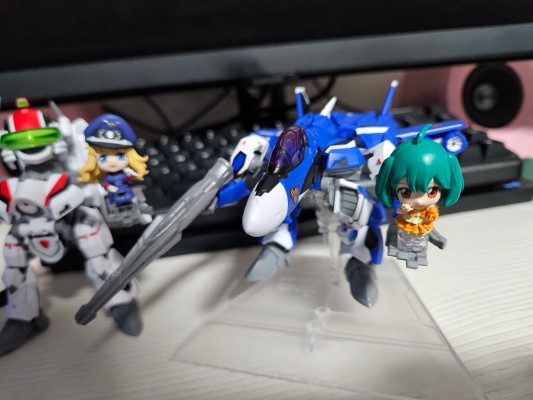 TINY SESSION 超时空要塞F VF-25F 弥赛亚女武神(米歇尔专用) 与兰花