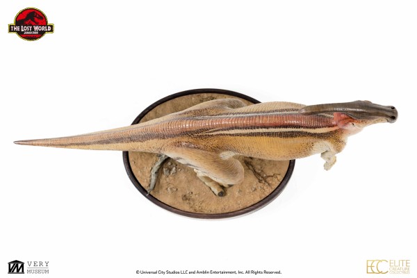 侏罗纪公园 1:8 比例副栉龙模型
