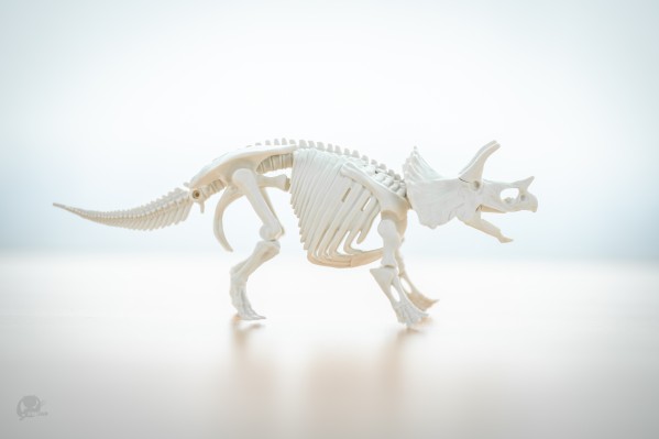 恐龙拼装模型 三角龙