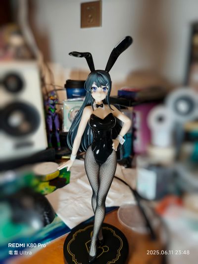 BiCute Bunnies 青春猪头少年不会梦见兔女郎学姐 樱岛麻衣