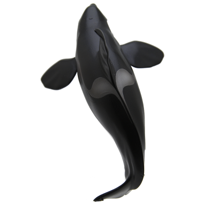 自然彩色科技 南极 特装版