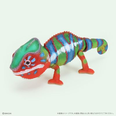 生物大图鉴 爬行类 变色龙