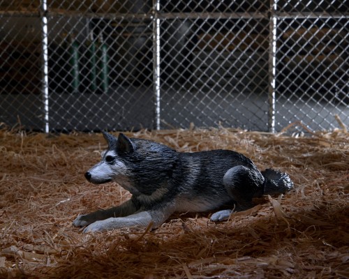 怪形-7英寸比例可动人偶——豪华终极狗形怪物——怪形狗（怪形犬）